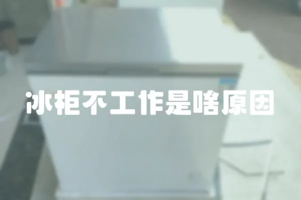 冰柜不工作是啥原因