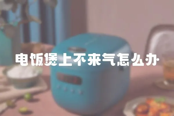 電飯煲上不來氣怎么辦
