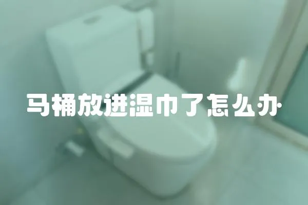 馬桶放進濕巾了怎么辦