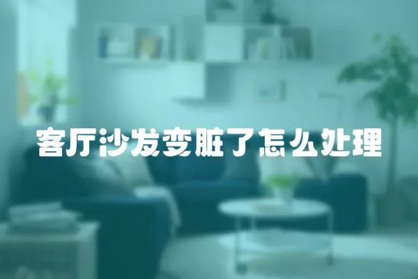 客廳沙發變臟了怎么處理