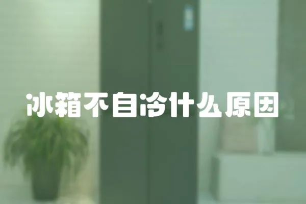 冰箱不自冷什么原因