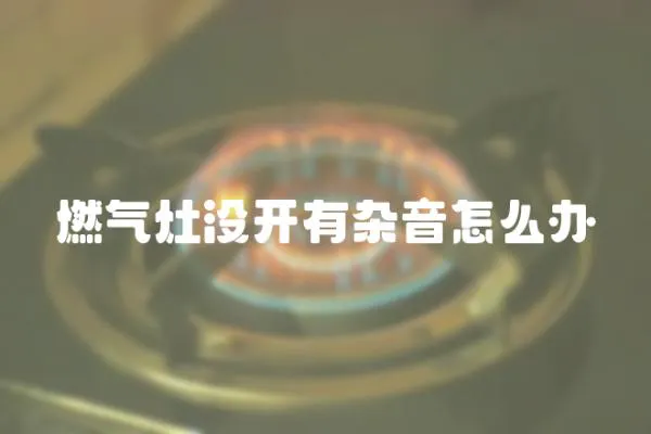 燃?xì)庠顩](méi)開(kāi)有雜音怎么辦
