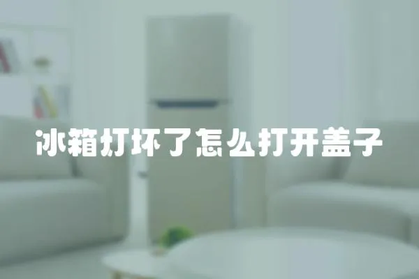 冰箱燈壞了怎么打開蓋子