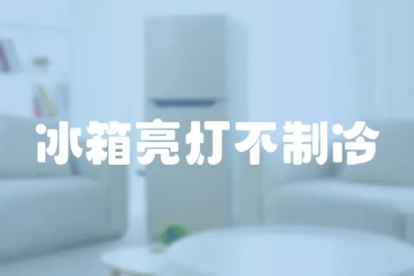 冰箱亮燈不制冷