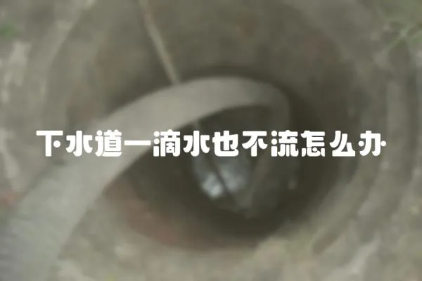 下水道一滴水也不流怎么辦