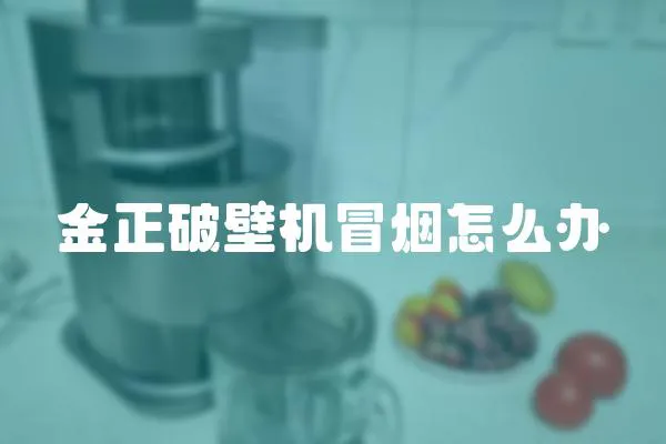 金正破壁機冒煙怎么辦