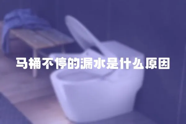 馬桶不停的漏水是什么原因