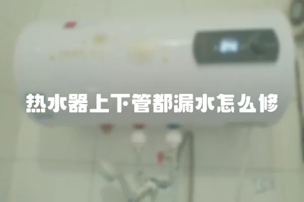 熱水器上下管都漏水怎么修