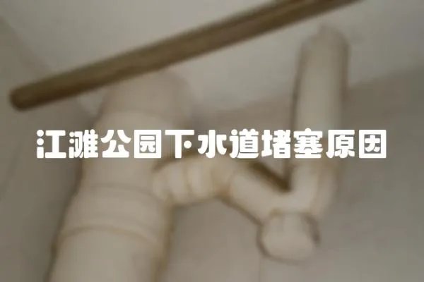 江灘公園下水道堵塞原因