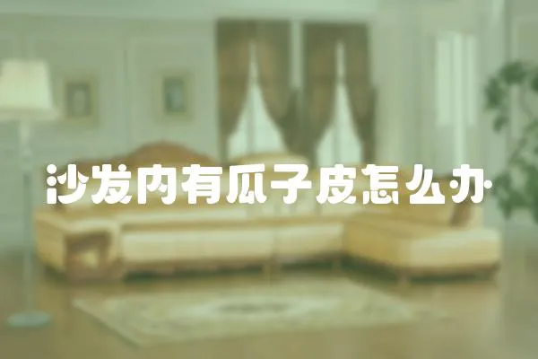 沙發內有瓜子皮怎么辦