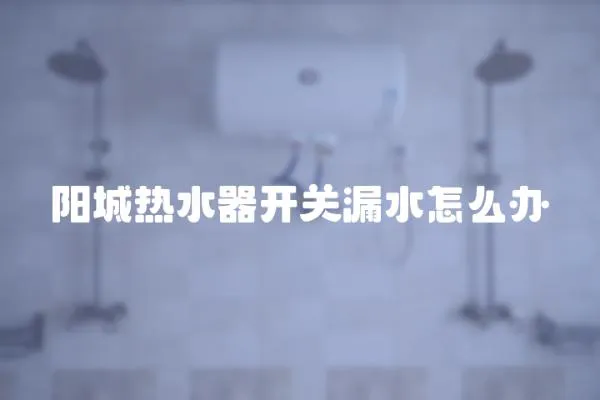 陽城熱水器開關(guān)漏水怎么辦