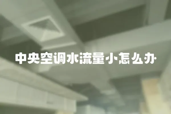 中央空調(diào)水流量小怎么辦