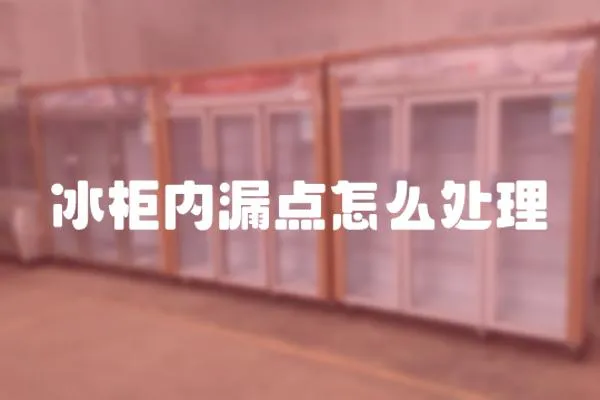 冰柜內漏點怎么處理