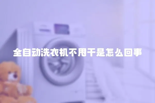 全自動洗衣機不甩干是怎么回事