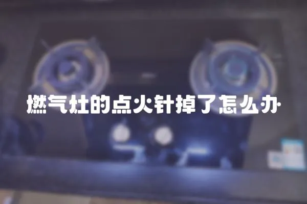 燃?xì)庠畹狞c(diǎn)火針掉了怎么辦