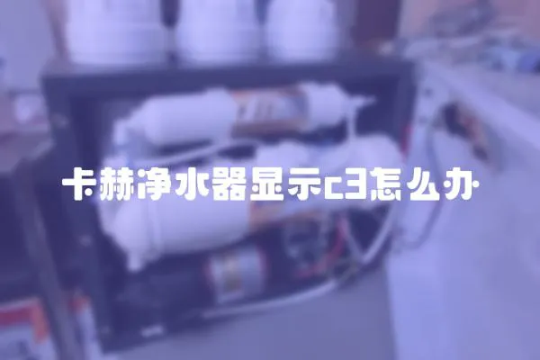 卡赫凈水器顯示c3怎么辦