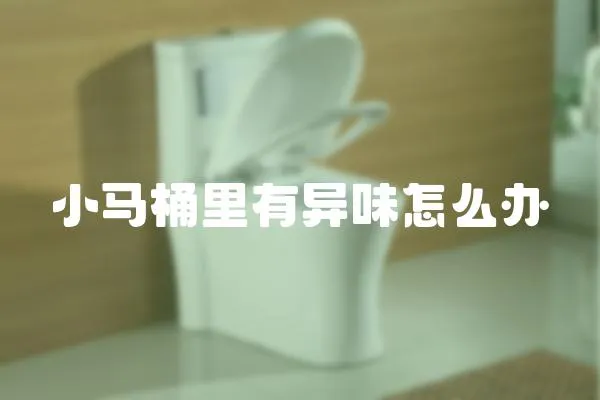 小馬桶里有異味怎么辦