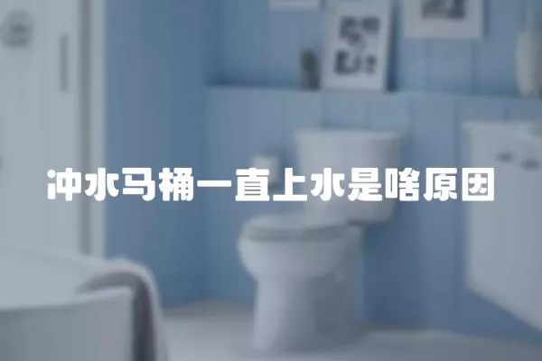 沖水馬桶一直上水是啥原因