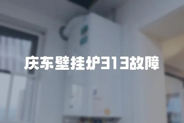 庆东壁挂炉313故障