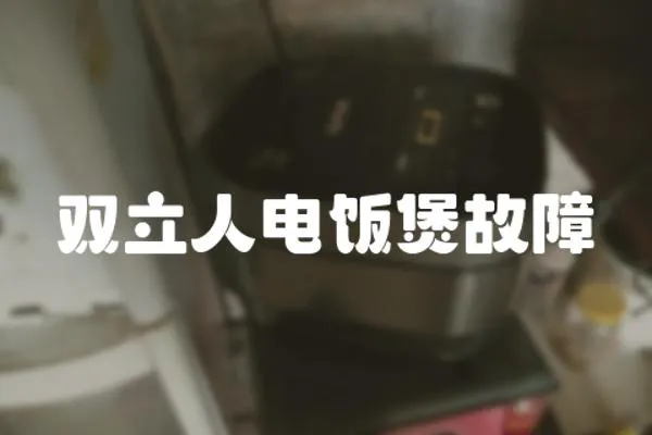 雙立人電飯煲故障