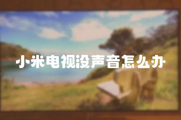 小米電視沒聲音怎么辦