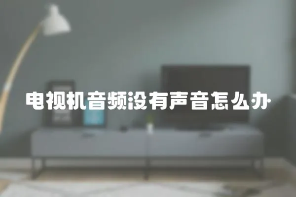 電視機音頻沒有聲音怎么辦