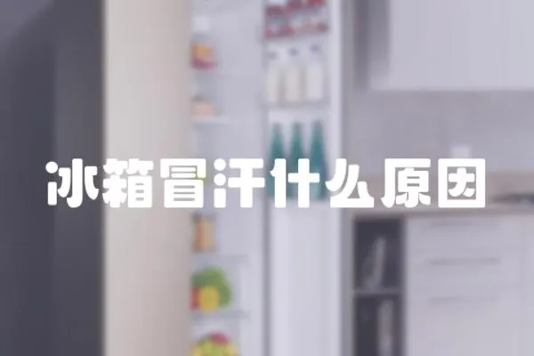 冰箱冒汗什么原因
