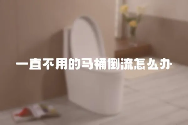 一直不用的馬桶倒流怎么辦