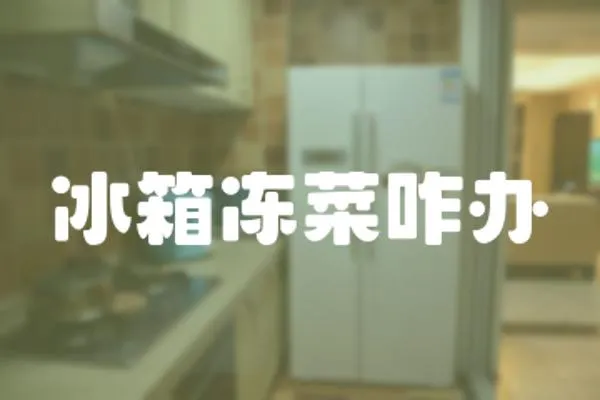 冰箱凍菜咋辦
