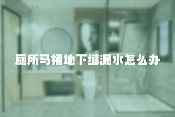 廁所馬桶地下縫漏水怎么辦