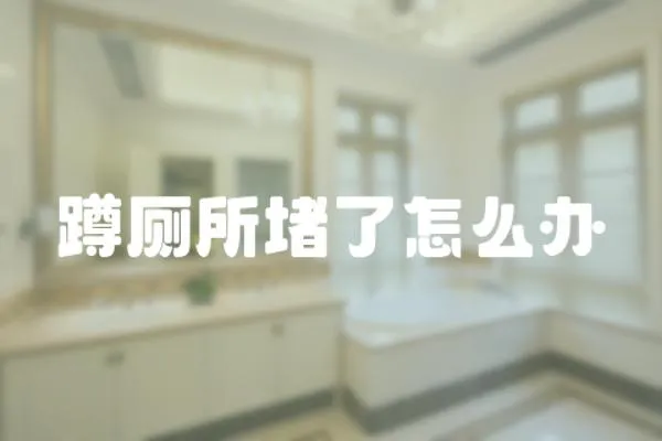 蹲廁所堵了怎么辦