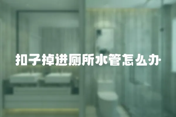 扣子掉進廁所水管怎么辦