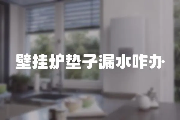 壁掛爐墊子漏水咋辦