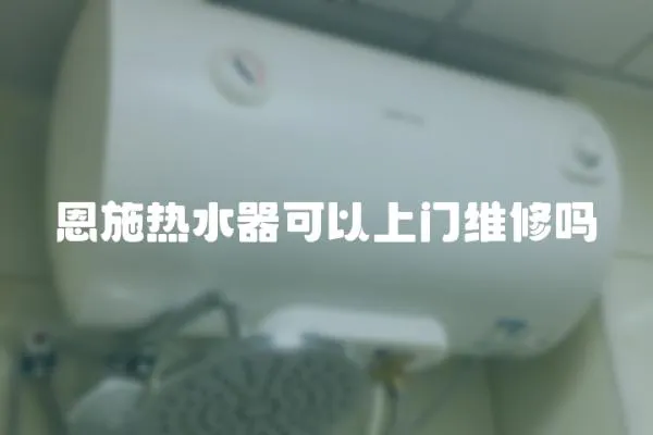 恩施熱水器可以上門維修嗎