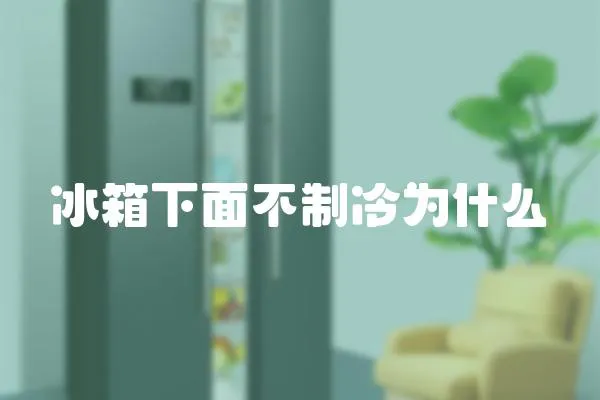 冰箱下面不制冷為什么
