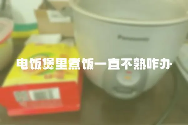 电饭煲里煮饭一直不熟咋办