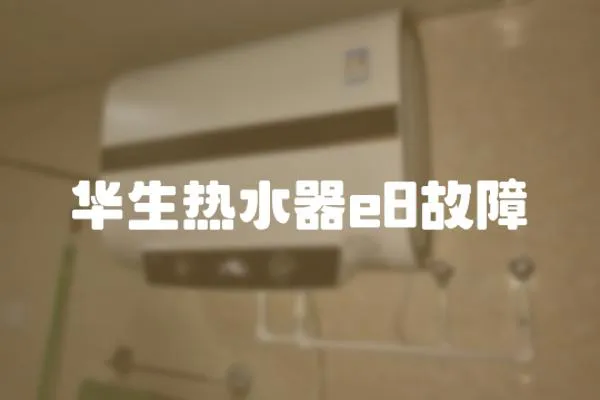 華生熱水器e8故障