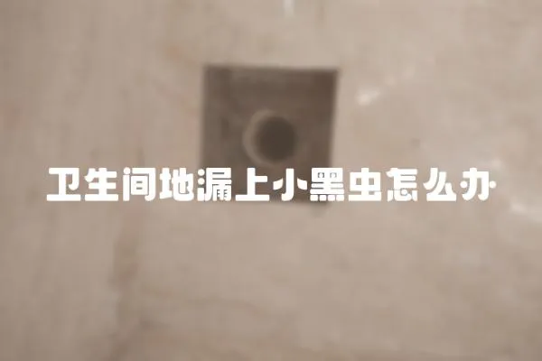 衛生間地漏上小黑蟲怎么辦