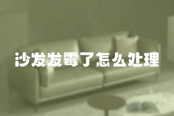 沙發發霉了怎么處理