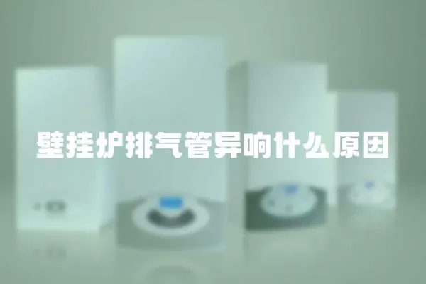 壁掛爐排氣管異響什么原因