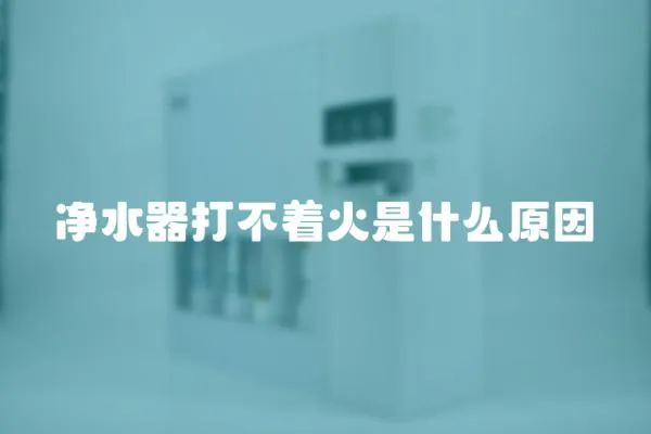 凈水器打不著火是什么原因