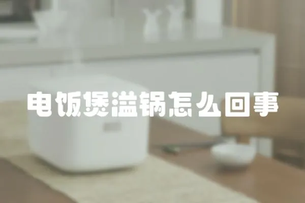 電飯煲溢鍋怎么回事