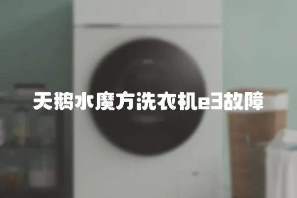 天鵝水魔方洗衣機e3故障