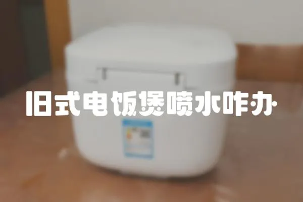 舊式電飯煲噴水咋辦
