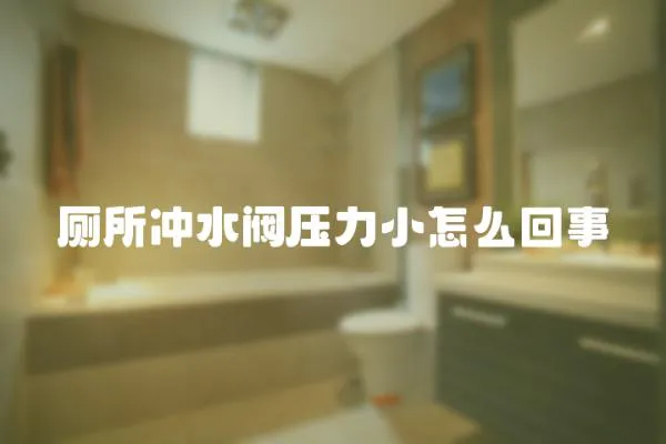 廁所沖水閥壓力小怎么回事