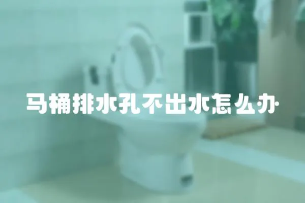 马桶排水孔不出水怎么办