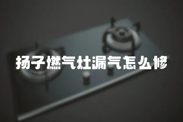 揚子燃氣灶漏氣怎么修