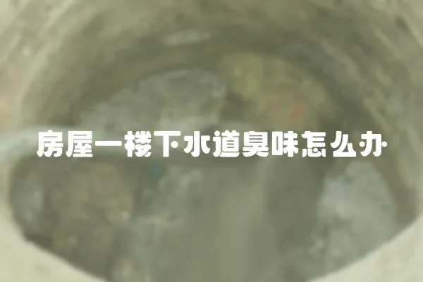 房屋一樓下水道臭味怎么辦