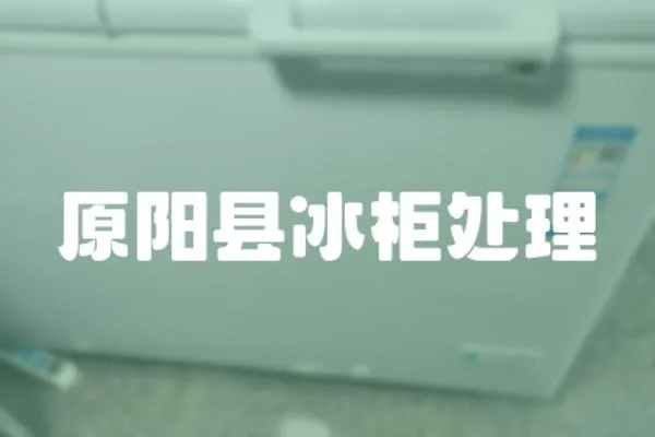 原陽縣冰柜處理