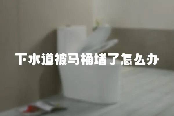 下水道被馬桶堵了怎么辦